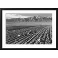 thumbnail image 2 of Art.com Farm, Farm Workers, Mt. Williamson in Background Art Print by Ansel Adams, Black Frame Wall Art, 23" x 17", 2 of 5