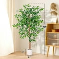 thumbnail image 6 of ROMSWI 5FT Artificial Ficus Tree with White Planter Realistic Ficus Plants with Natural Wood Trunk for Living Room Home Office Porch, 6 of 11
