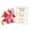 Pink, variant on Emotional Support Dragon Pocket Buddy, Cute Dragon Plush Stuffed Animals with Encouragement Card, Anxiety Relief Desk Decor, Fantasy Gift for Students & Adults, 4.5 Inch