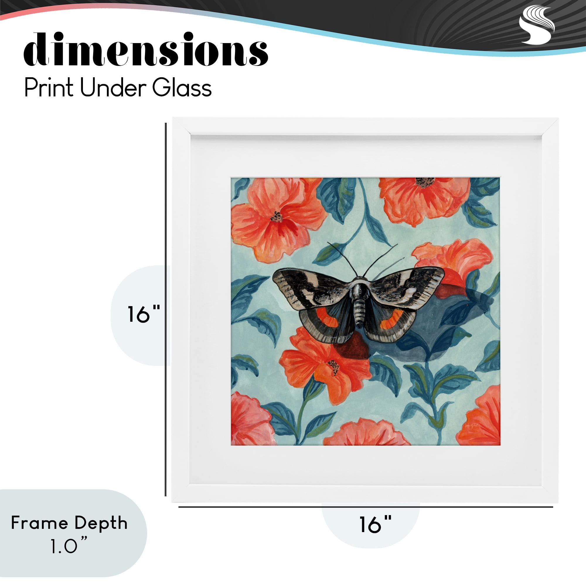 Stupell Industries Academia Moth On Floral White Framed Print Under Glass, design by Kate Jarvik Birch