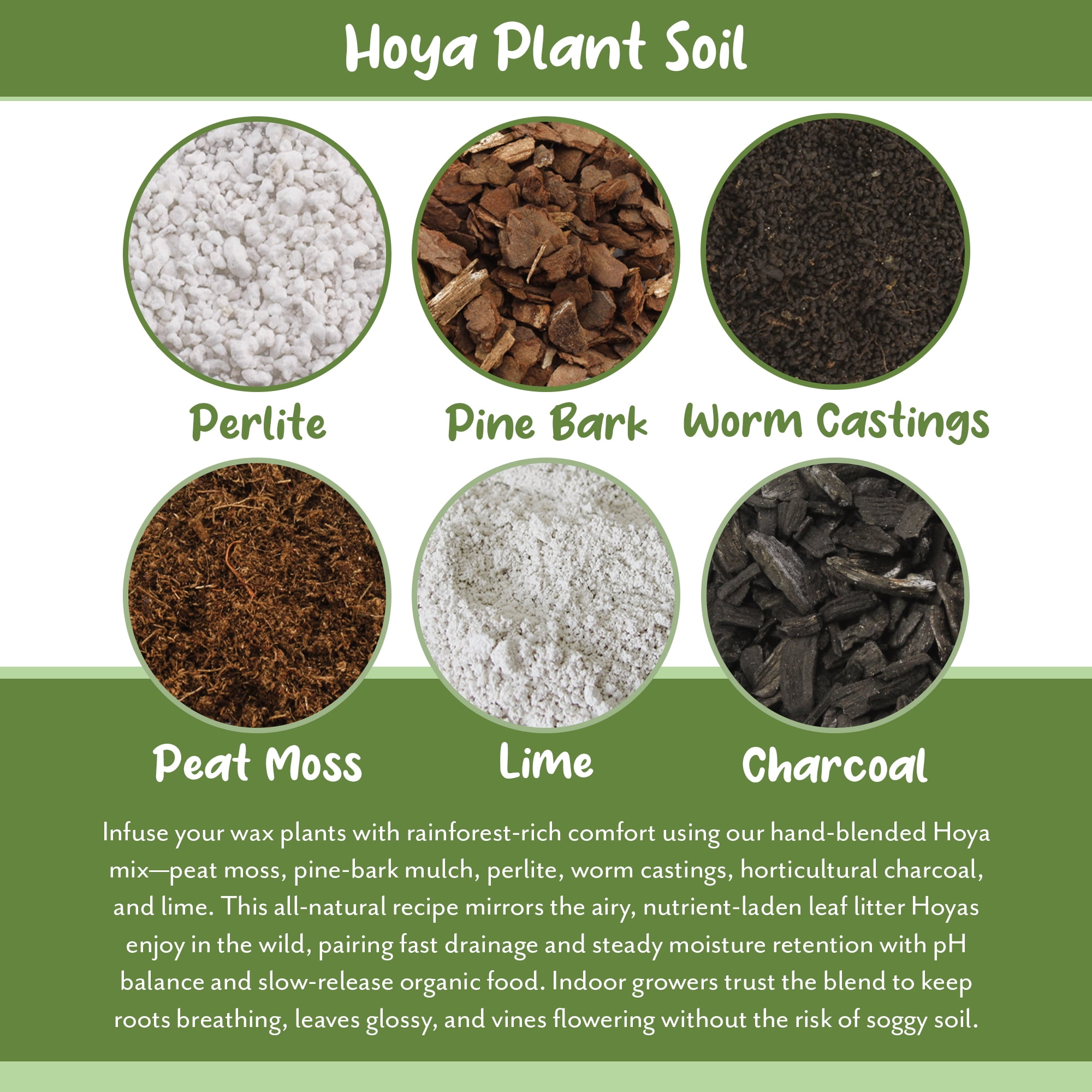 Hoya Plant Potting Soil Mix (8 Quarts), Custom Blend for Growing Hoya Tropical Houseplants