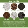 thumbnail image 5 of Hoya Plant Potting Soil Mix (8 Quarts), Custom Blend for Growing Hoya Tropical Houseplants, 5 of 9