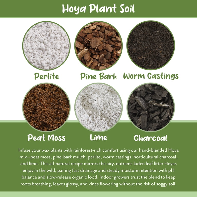 Hoya Plant Potting Soil Mix, 8 Quarts, Custom Blend for