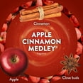 thumbnail image 5 of (4 pack) Air Wick Plug In Scented Oil Air Freshener, Apple Cinnamon Medley, 1 Warmer and 1 Refill, 5 of 10