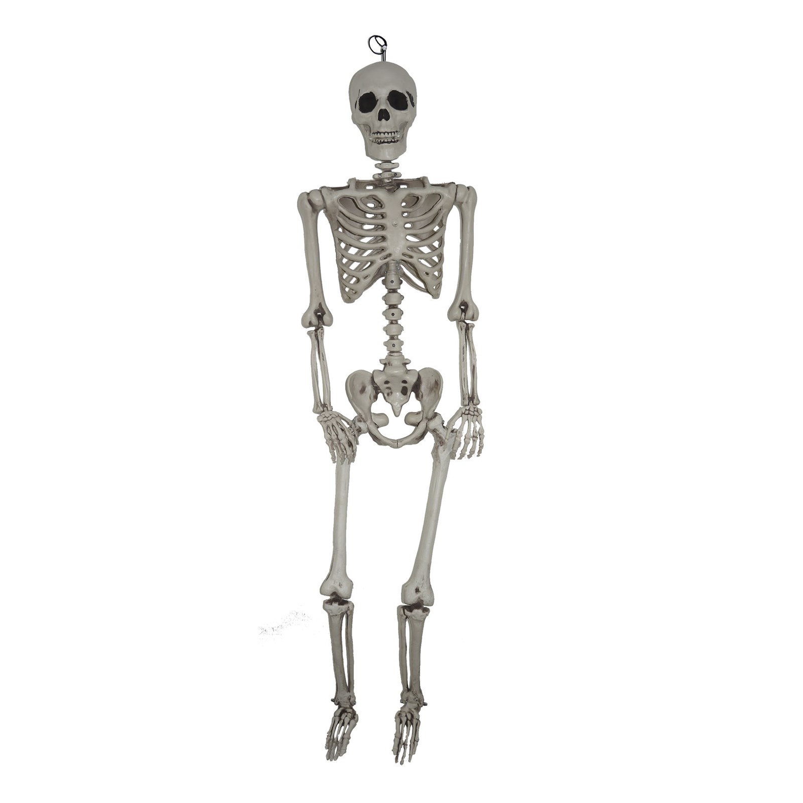 5Ft Hanging Skeleton Prop Halloween Decoration