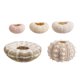 thumbnail image 1 of Conchas marinas Coquillage Natural Sea Urchin Air Pineapple Bonsai Shells Craft, 1 of 7