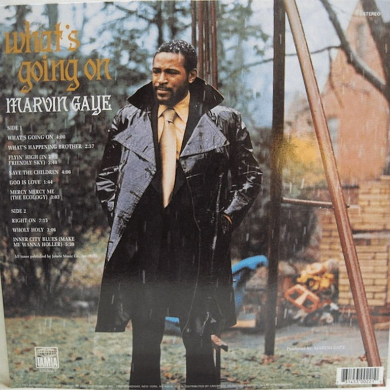 Marvin Gaye - 'What's Going On' LP Record, R&B/Soul, Motown