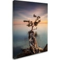 thumbnail image 2 of Moises Levy 'Water Tree III' Canvas Art, 2 of 3