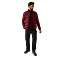 thumbnail image 3 of Regatta Mens Marizion Padded Jacket, 3 of 4