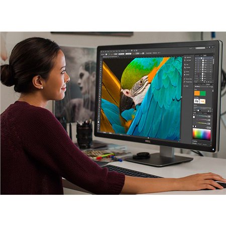 Dell UltraSharp UP3216Q Widescreen LCD Monitor-UP3216Q Monitor