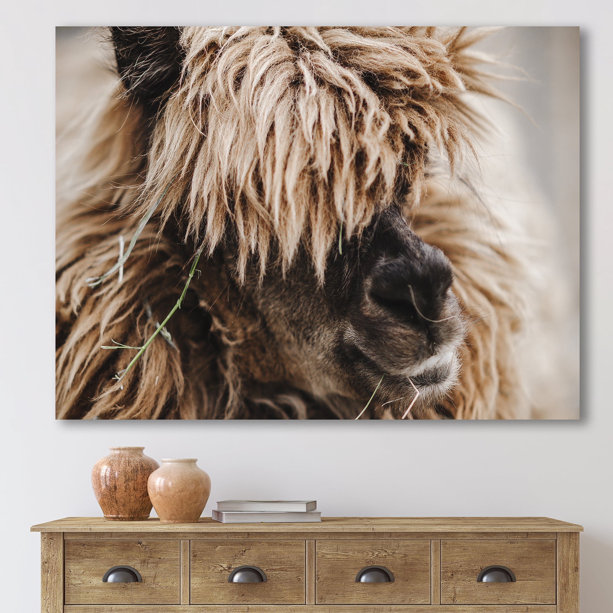 Designart ' Close Up Of Fluffy Curly Alpaca ' Farmhouse Canvas Wall Art Print