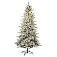 thumbnail image 1 of Vickerman S202091LED 12 ft. x 60 in. Flocked Vail Pine Dura 1600 Warm White Tree, 1 of 1