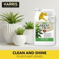 thumbnail image 4 of HARRIS Neem Oil Spray, 128 oz, with Cold Pressed Formula for Leaf Shine, 4 of 8