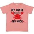 thumbnail image 3 of Inktastic My Auntie Loves Me Nephew Boys or Girls Toddler T-Shirt, 3 of 5