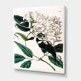 thumbnail image 3 of Designart ' Ancient Plant Life XXIV ' Traditional Canvas Wall Art Print, 3 of 4