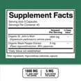 vitagen St. John’s Wort 1800mg Per Serving with Black Pepper Fruit