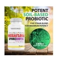 thumbnail image 4 of Sporebiotic Flora Mega, Gut Health, All Natural, Microbiome Support, High Potency Formula, Men and Women, Daily Supplement, 60 CT, 4 of 5
