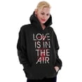 thumbnail image 5 of Love in Air Funny Singles Valentines Hoodie Sweatshirt Women Brisco Brands S, 5 of 6