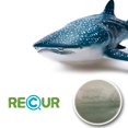 thumbnail image 4 of Figura de acción Gemini&Genius Sea Animal Whale Shark para niños, 4 of 9