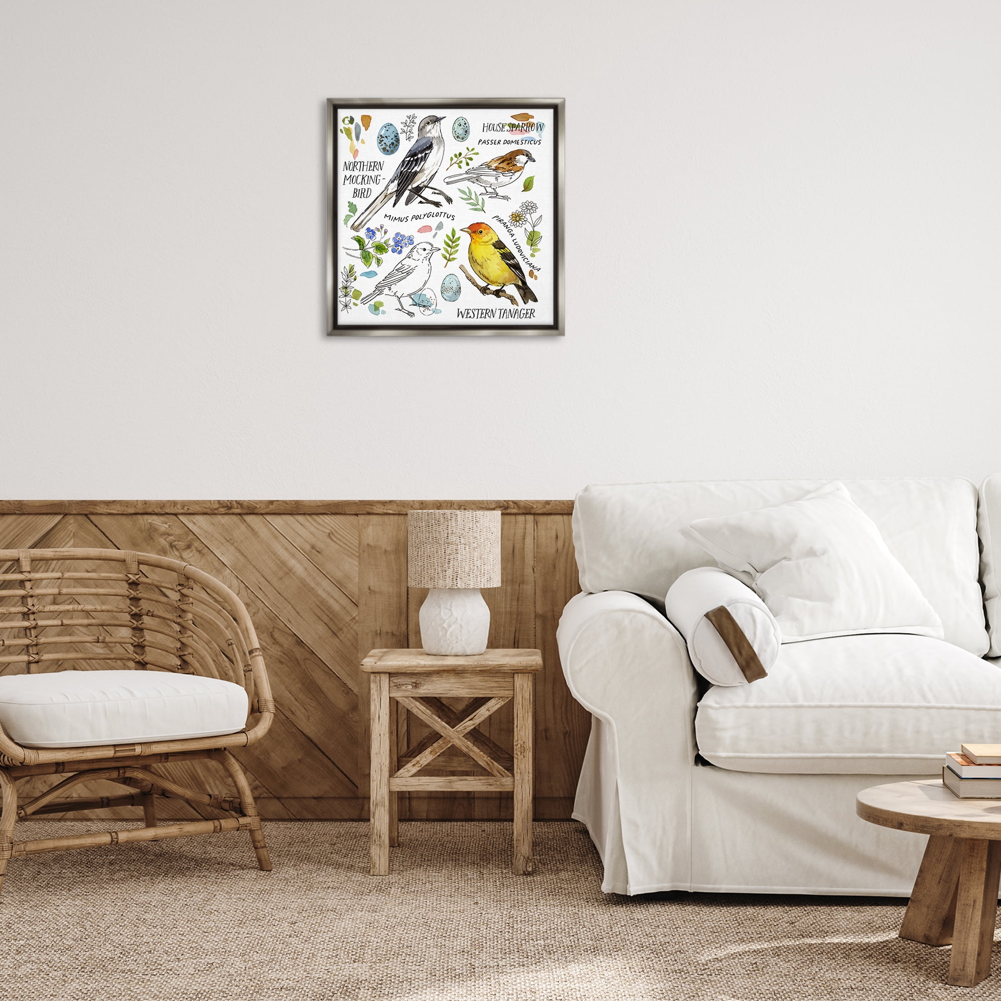 Stupell Industries Local Bird Diagram Animals Painting Gray Floater Framed Canvas Art Print Wall Art, 25 x 25