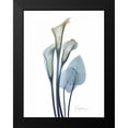 thumbnail image 2 of Koetsier, Albert 12x14 Black Modern Framed Museum Art Print Titled - Gold Splash Calla Lily 2, 2 of 5