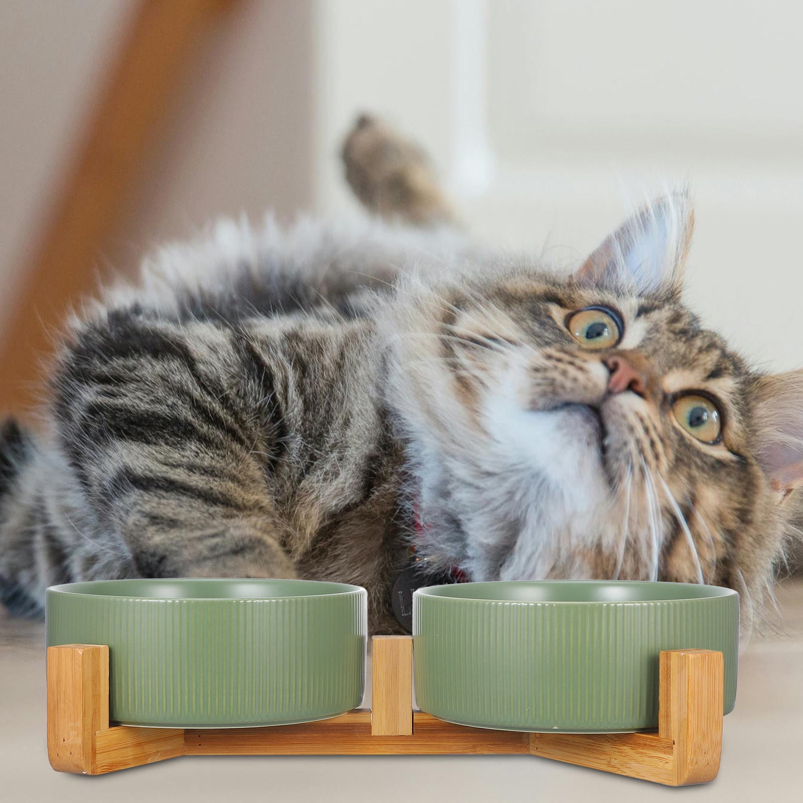 Tineasur 1Set Elevated Ceramic Dog Food Bowl with Sturdy Wooden Stand Stable and Easy to Clean