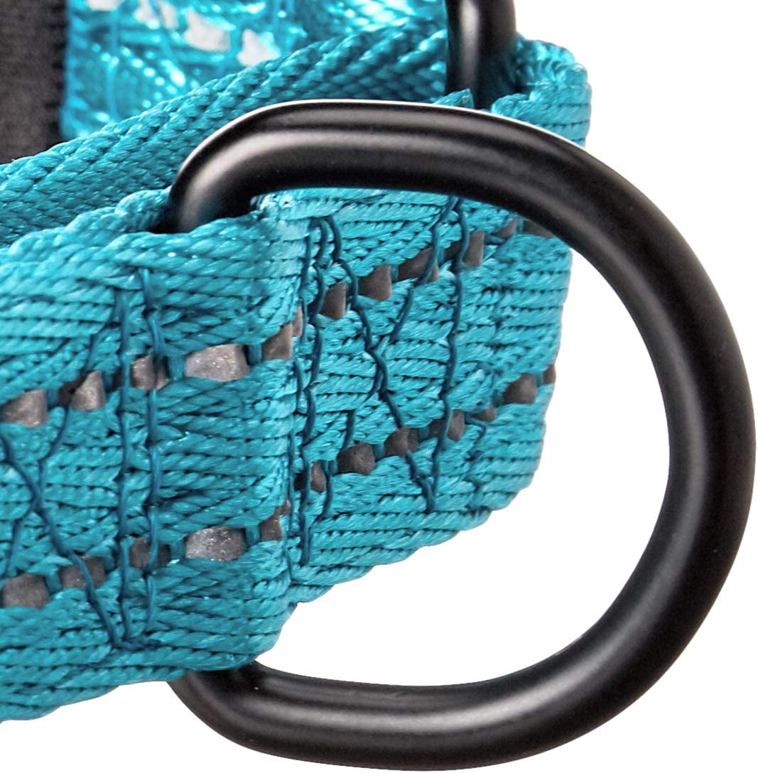 Alcott Martingale Collar with Reflective Stitching & Neoprene Padding, Large, Blue