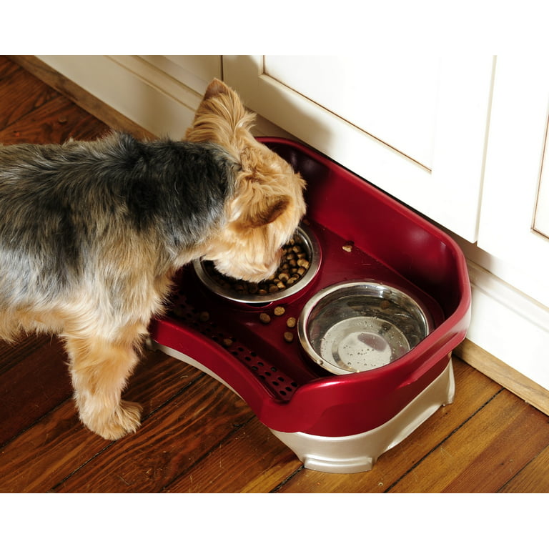 Neater Pets Big Bowl with Leg Extensions for Dogs - Raised for Feeding  Comfort - Extra Large Plastic Trough Style Food or Water Bowl for Use  Indoors or Outdoors, Vanilla Bean, 1.25