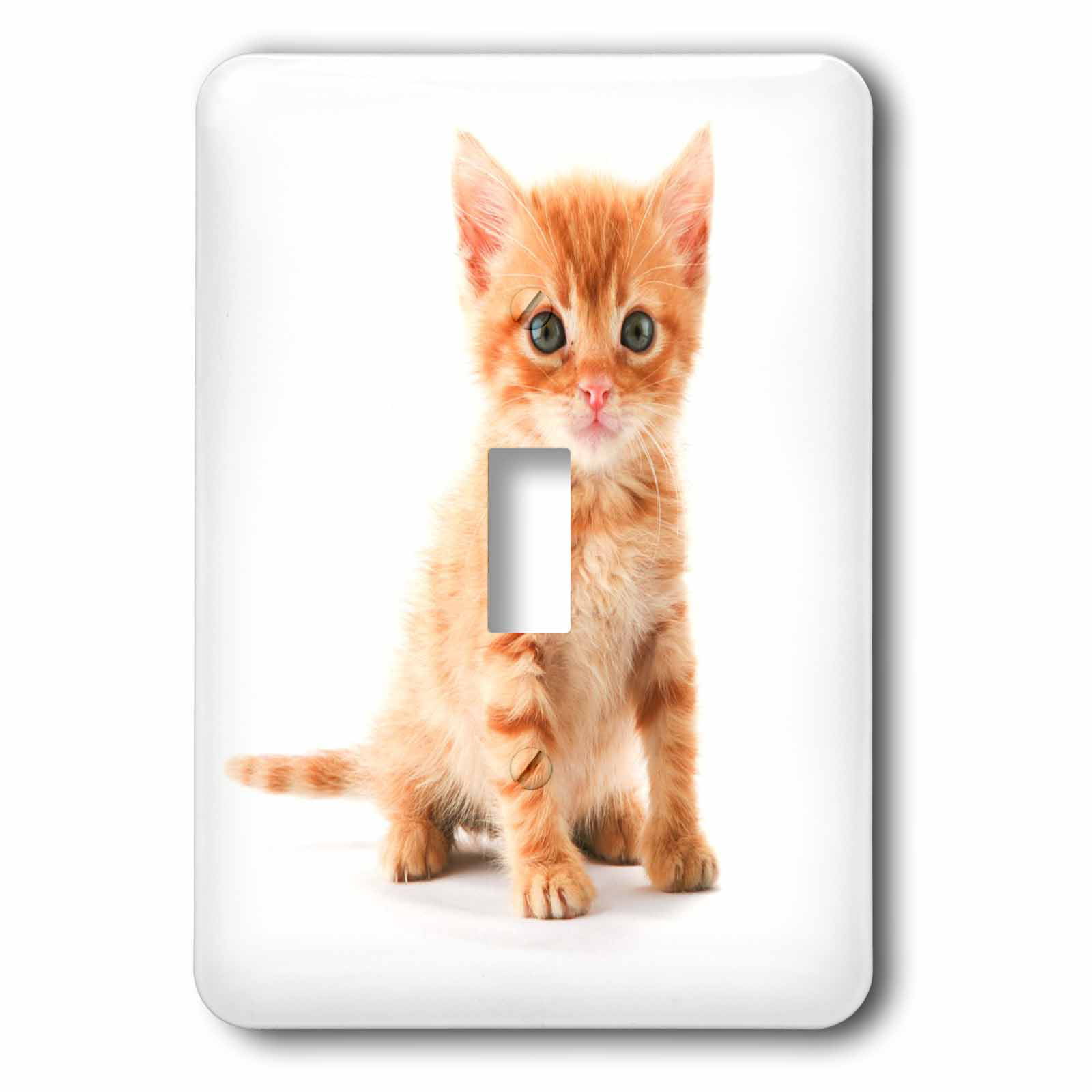 3dRose lsp_41309_2 Kitty Portrait Double Toggle Switch 