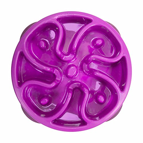 outward hound fun feeder slow bowl