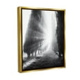 thumbnail image 4 of Stupell Industries Sun Rays & Hedge Grove Landscape Photography Gold Floater Framed Canvas Art Print Wall Art, 17 x 21, 4 of 10