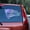 Holographic Opal, variant on We the People have had enough Vinyl decal