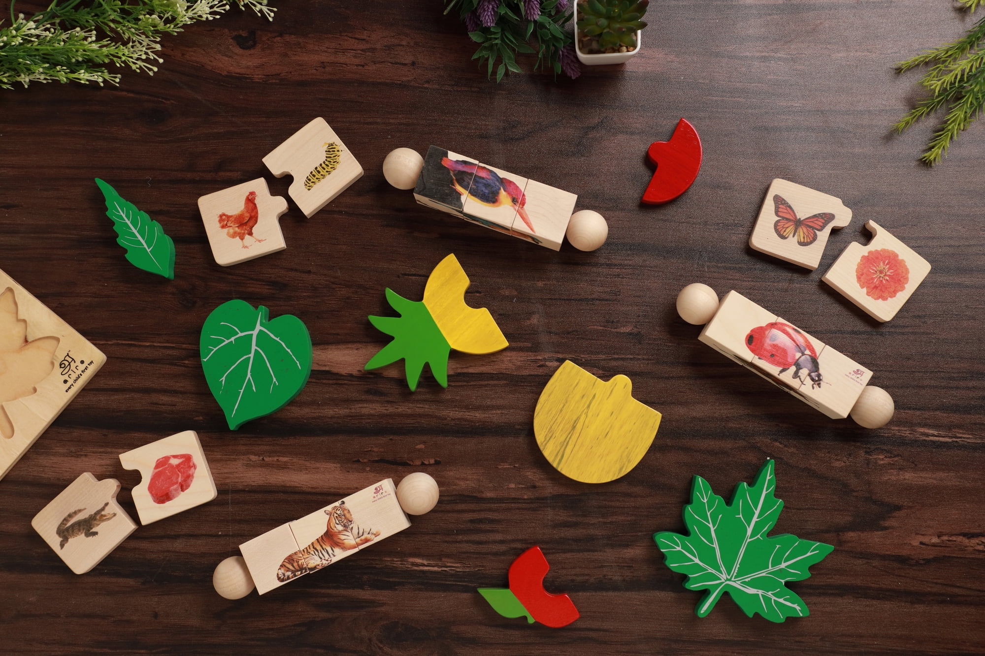 Wooden puzzle for toddler|Montessori Animal puzzle India-Ariro toys
