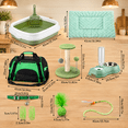 10 Piece Kitten Starter Kit for Indoor Cats, Classic Green, Medium ...