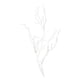 thumbnail image 5 of 2 ramas artificiales pequeñas decorativas blancas para mesa Blanco, 5 of 9