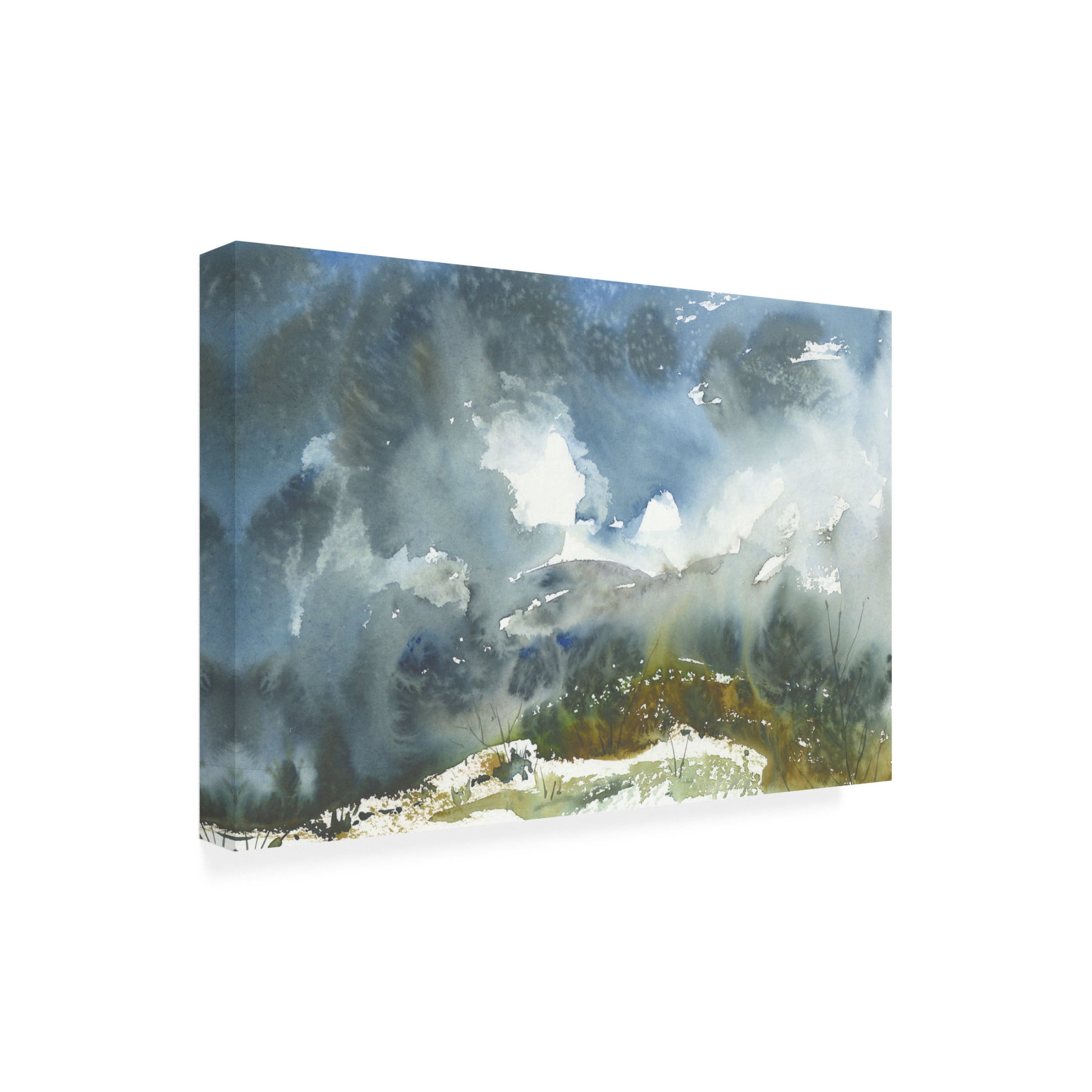 Canvas Wall Art - Randy Noble Fine Art 'Moss Fog' Wall Art for Living Room, Bedroom, or Office Décor by Trademark Fine Art - 32 x 22 Inches