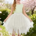 thumbnail image 2 of EnJoCho Girls Tulle Dress Elastic High Waist Multitiered Swing Birthday Evening Holiday Dancing Dresses Kids 2 to 15 Years, 2 of 4