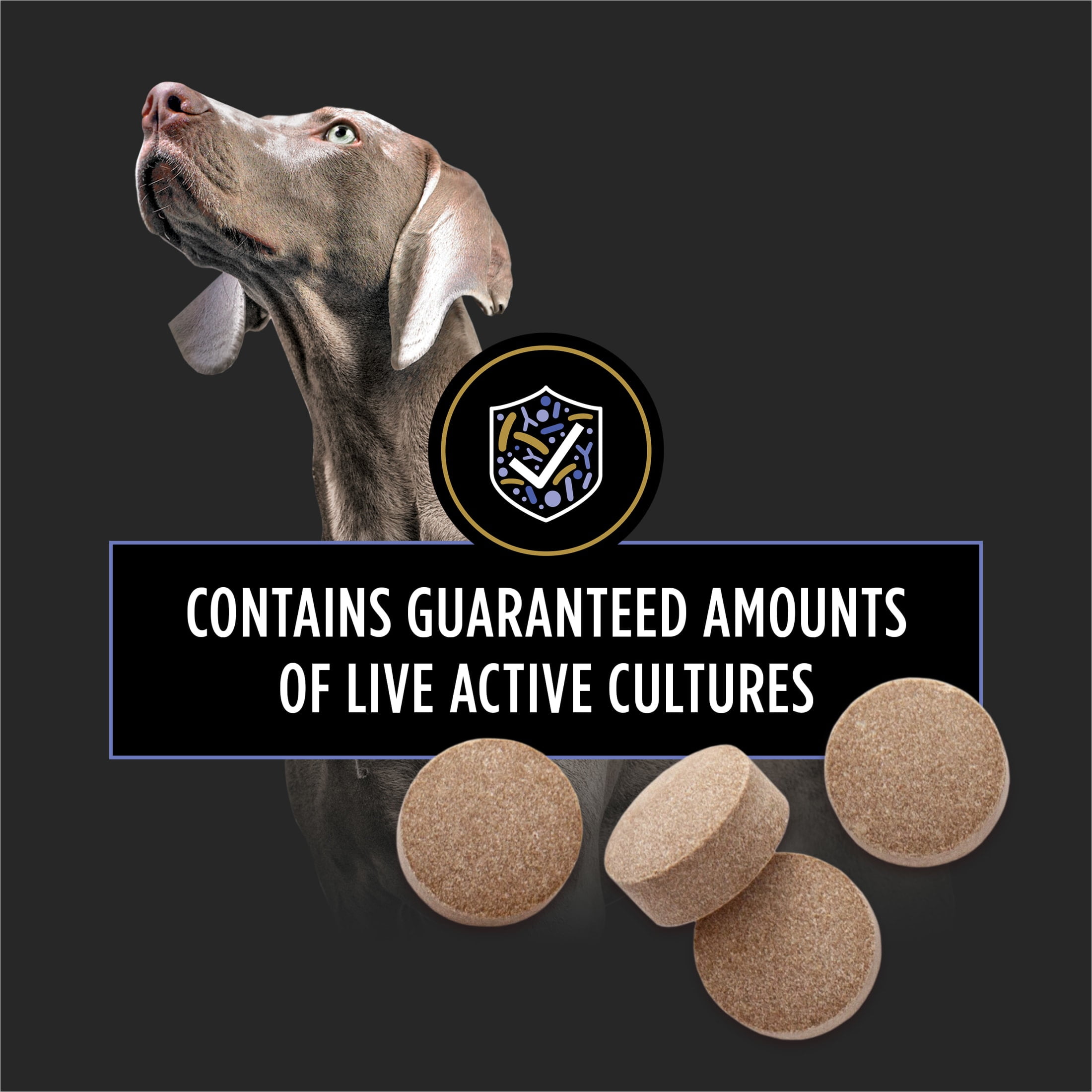 Purina Pro Plan Veterinary Supplements FortiFlora Chewable Dog Probiotic Supplement Tablets, 0.67 lb.