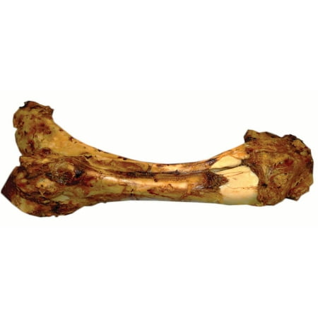 Best Buy Bones-Meaty Dino Bone Dog Chew 20 Inch (Case of 8 (Best Bones For Huskies)