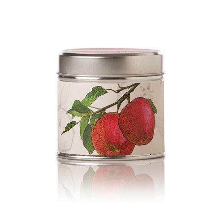 Rosy Rings Spicy Apple Soy Tin Ez188568 Walmart Canada