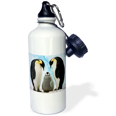 

Emperor Penguin Family 21 oz Sports Water Bottle wb-4180-1