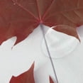 thumbnail image 4 of Coolnut Red Maple Leaves Against White Bath Shower Curtain Liners 72"x72", 100% Polyester Waterproof Bath Curtain with C-Shaped Hooks for Bathroom Decoration 1 Panel, 4 of 5
