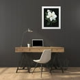 thumbnail image 3 of Swatland, Sally 15x18 White Modern Wood Framed Museum Art Print Titled - Midnight Magnolia, 3 of 4