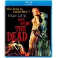 thumbnail image 1 of Back From the Dead - Blu-ray, 1 of 1
