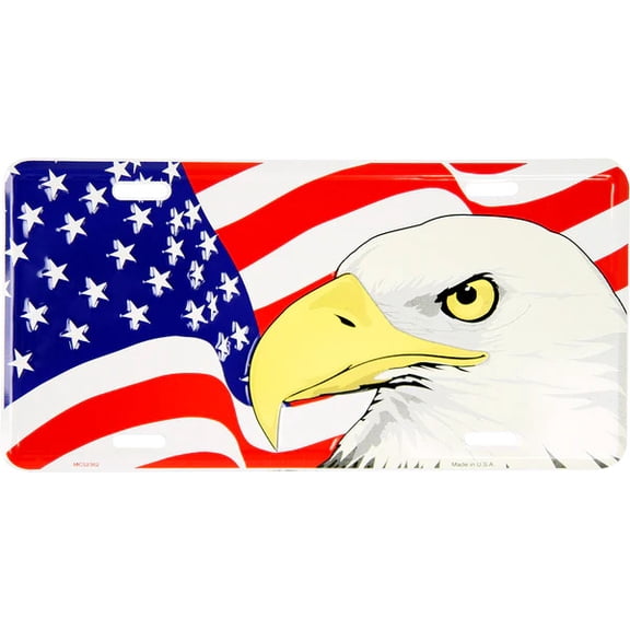 Hangtime American Eagle on Flag 6x12 inch novelty license plate