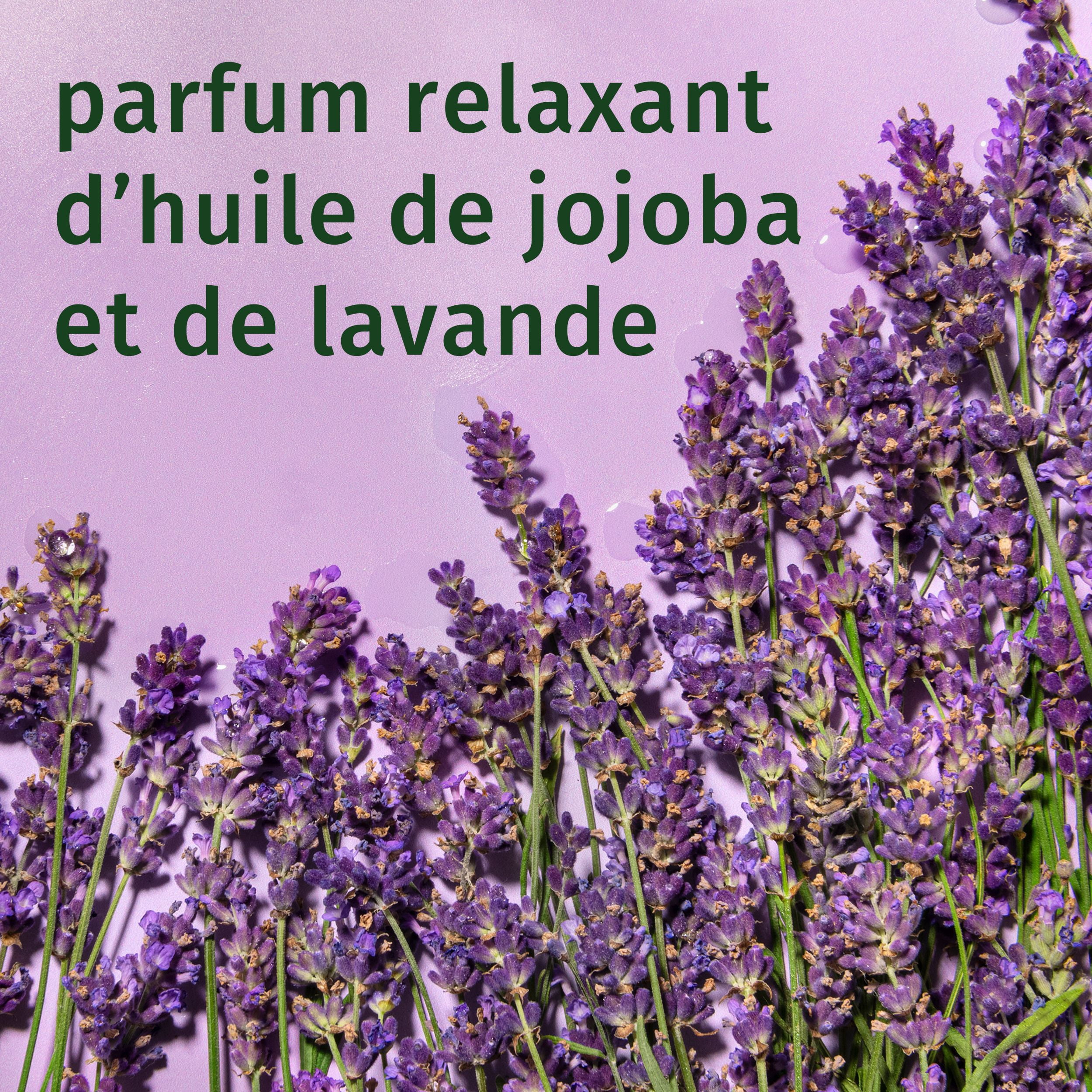HERBAL ESSENCES – REVITALISANT POUR CHEVEUX BOUCLÉS JOJOBA ET LAVANDE – 1L