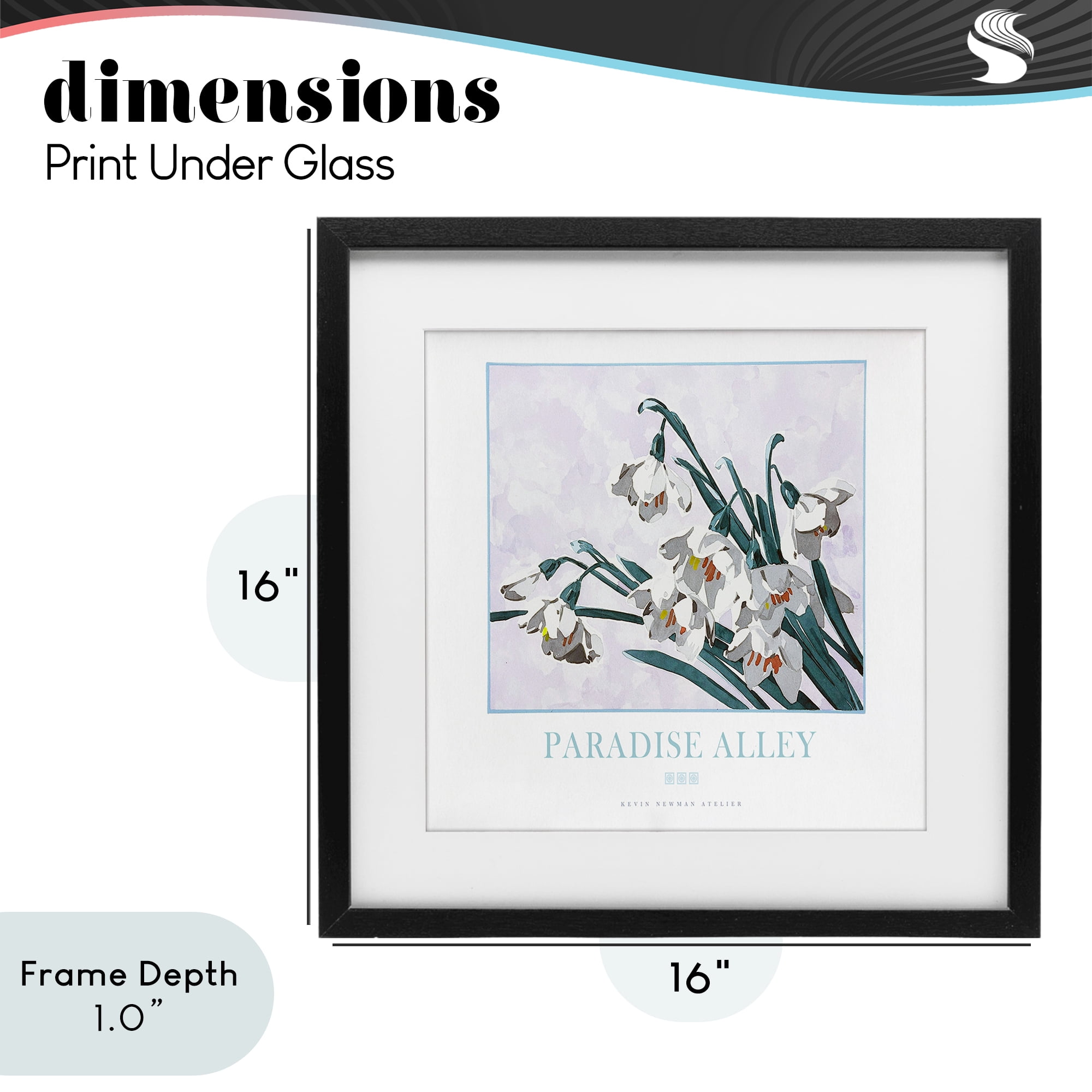 Stupell Industries Paradise Alley White Spring Blooms Black Framed Print Under Glass, design by Jadei Graphics