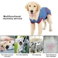 thumbnail image 3 of Pet Surgical Suit Wide Coverage Breathable Elastic Pet Alternative Recovery Costume For Treatment, 3 of 3