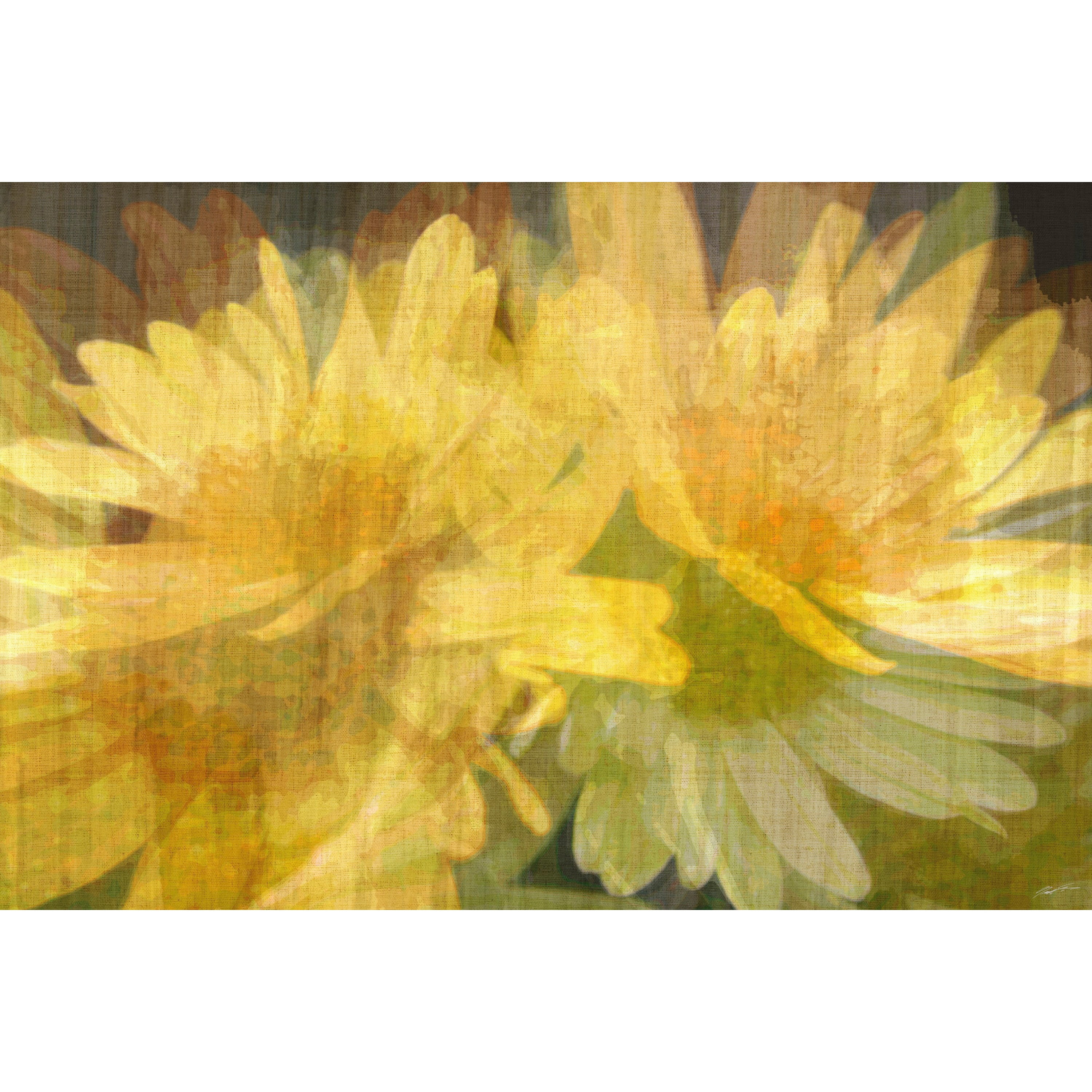 Marmont Hill "Daisy Daisy I" Painting Print on Wrapped Canvas
