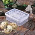 thumbnail image 2 of Sywqhk Incubadora de huevos de reptiles de plástico con 16 rejillas, bandeja para huevos de serpiente lagartija, caja para incubar Sywqhk Para estrenar, 2 of 9